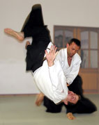 Aikido Technik